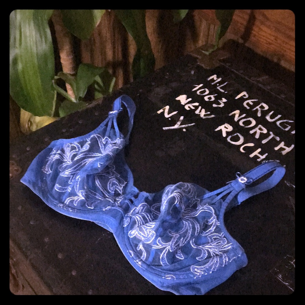 Felina Lingerie 32DD Light Blue Sheer w/Embroidery